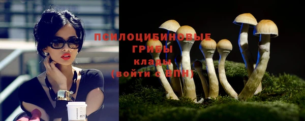 мдпв Новодвинск