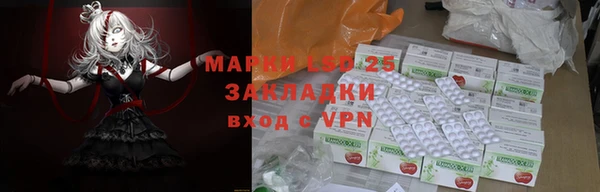 ПСИЛОЦИБИНОВЫЕ ГРИБЫ Медвежьегорск