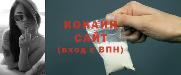 молекула духа Мегион