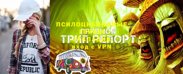 ПСИЛОЦИБИНОВЫЕ ГРИБЫ Медвежьегорск