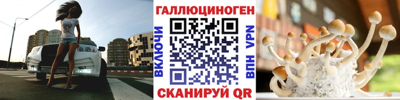 Псилоцибиновые грибы MAGIC MUSHROOMS  закладки  Петровск-Забайкальский 